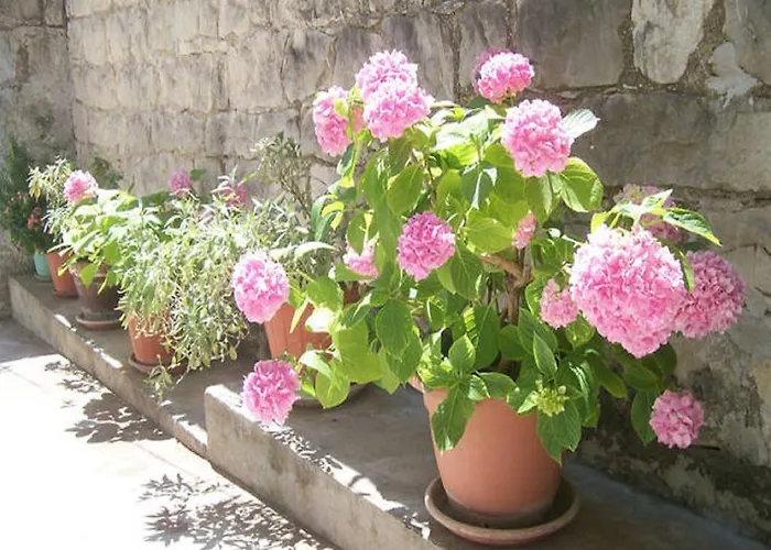 Josip Apartman Split